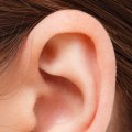 כמה זמן לוקח לשעוות האוזן להתרכך?